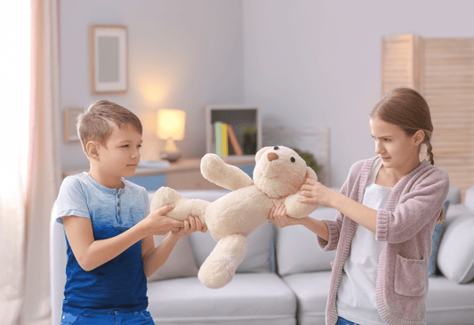 Comment Régler les Disputes entre Frères et Sœurs ?